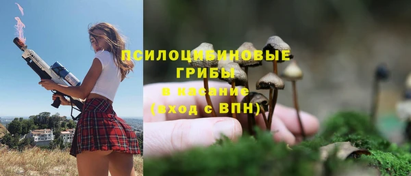 мяу мяу мука Бородино