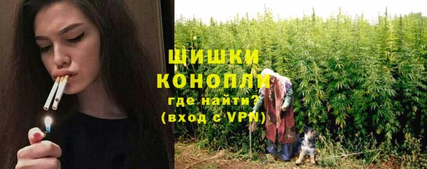 мяу мяу мука Бородино