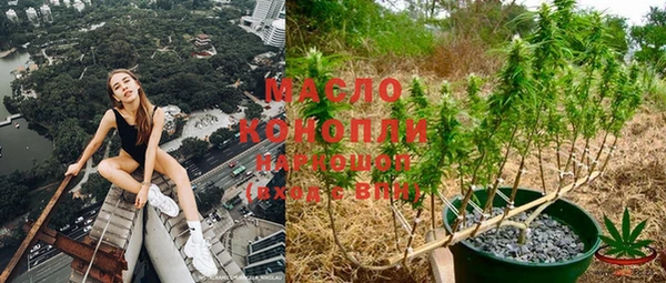 мяу мяу мука Бородино