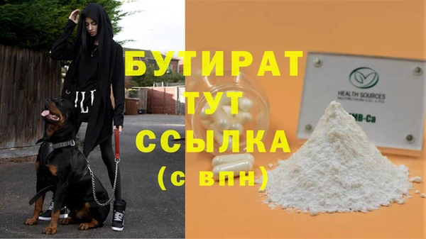 мяу мяу мука Бородино